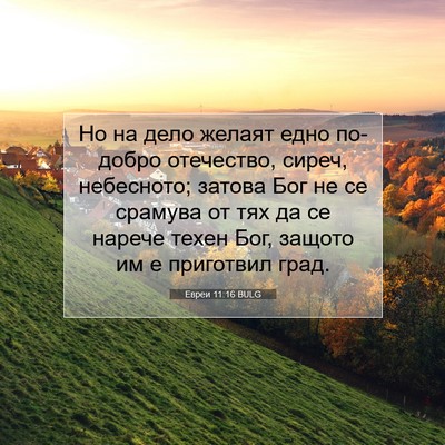 Picture 07 - Евреи 11:16 BULG - Но на дело желаят едно - Bible Verse Picture