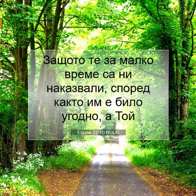Picture 07 - Евреи 12:10 BULG - Защото те за малко време са - Bible Verse Picture