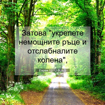 Picture 07 - Евреи 12:12 BULG - Затова 