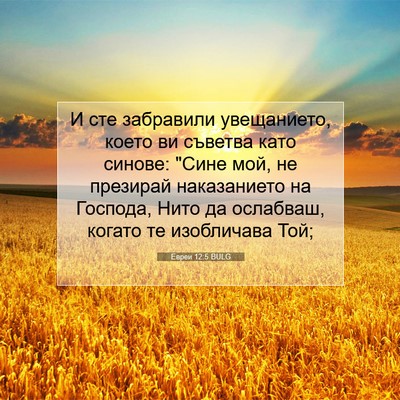Picture 07 - Евреи 12:5 BULG - И сте забравили - Bible Verse Picture