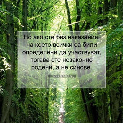 Picture 07 - Евреи 12:8 BULG - Но ако сте без наказание, - Bible Verse Picture