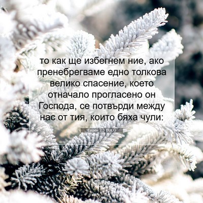 Picture 07 - Евреи 2:3 BULG - то как ще избегнем ние, ако - Bible Verse Picture