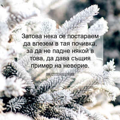 Picture 07 - Евреи 4:11 BULG - Затова нека се постараем - Bible Verse Picture