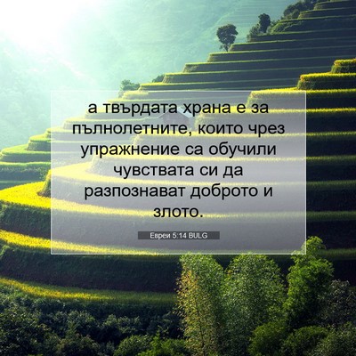 Picture 07 - Евреи 5:14 BULG - а твърдата храна е за - Bible Verse Picture
