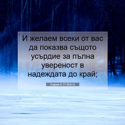 Picture 07 - Евреи 6:11 BULG - И желаем всеки от вас да - Bible Verse Picture