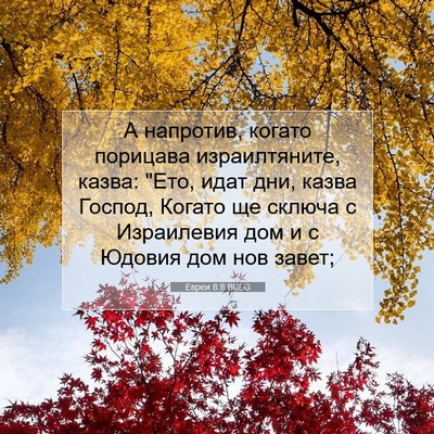 Picture 07 - Евреи 8:8 BULG - А напротив, когато - Bible Verse Picture