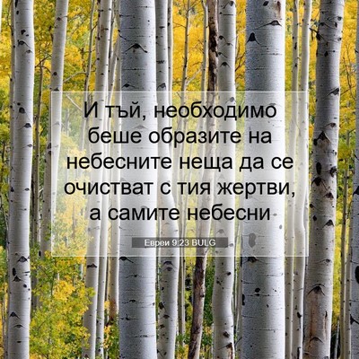 Picture 07 - Евреи 9:23 BULG - И тъй, необходимо беше - Bible Verse Picture