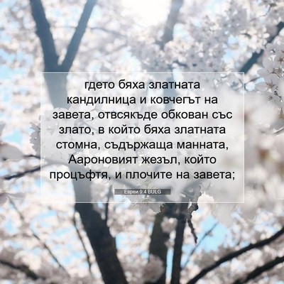 Picture 07 - Евреи 9:4 BULG - гдето бяха златната - Bible Verse Picture