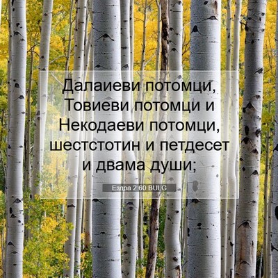 Picture 07 - Ездра 2:60 BULG - Далаиеви потомци, Товиеви - Bible Verse Picture