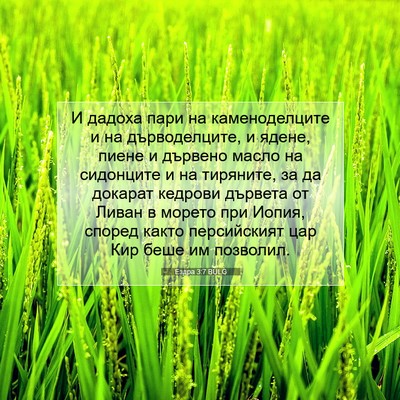 Picture 07 - Ездра 3:7 BULG - И дадоха пари на - Bible Verse Picture