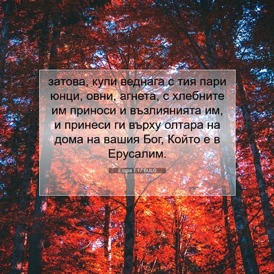 Picture 07 - Ездра 7:17 BULG - затова, купи веднага с тия - Bible Verse Picture