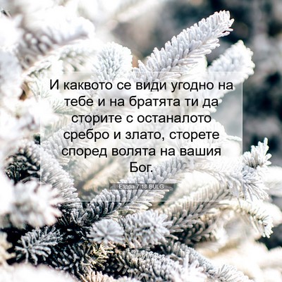 Picture 07 - Ездра 7:18 BULG - И каквото се види угодно на - Bible Verse Picture