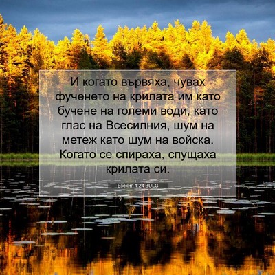 Picture 07 - Езекил 1:24 BULG - И когато вървяха, чувах - Bible Verse Picture