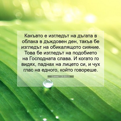 Picture 07 - Езекил 1:28 BULG - Какъвто е изгледът на - Bible Verse Picture