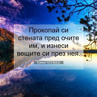 Picture 07 - Езекил 12:5 BULG - Прокопай си стената пред - Bible Verse Picture