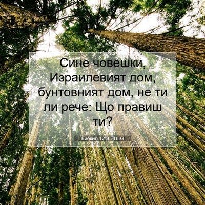 Picture 07 - Езекил 12:9 BULG - Сине човешки, Израилевият - Bible Verse Picture