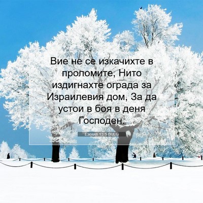 Picture 07 - Езекил 13:5 BULG - Вие не се изкачихте в - Bible Verse Picture