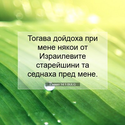 Picture 07 - Езекил 14:1 BULG - Тогава дойдоха при мене - Bible Verse Picture