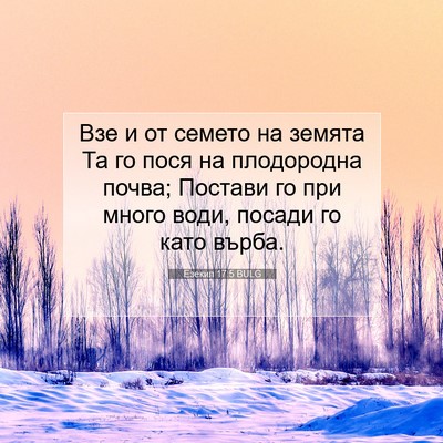 Picture 07 - Езекил 17:5 BULG - Взе и от семето на земята - Bible Verse Picture