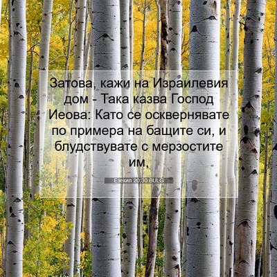 Picture 07 - Езекил 20:30 BULG - Затова, кажи на Израилевия - Bible Verse Picture