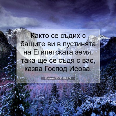 Picture 07 - Езекил 20:36 BULG - Както се съдих с бащите ви - Bible Verse Picture