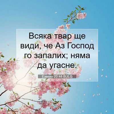Picture 07 - Езекил 20:48 BULG - Всяка твар ще види, че Аз - Bible Verse Picture