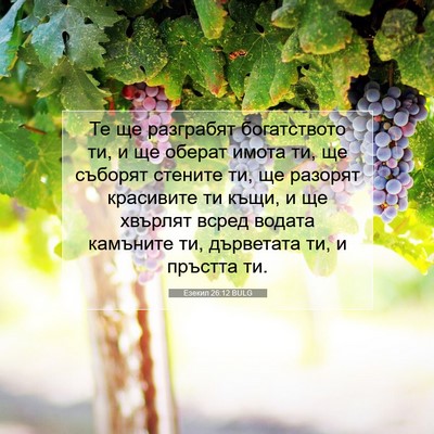 Picture 07 - Езекил 26:12 BULG - Те ще разграбят - Bible Verse Picture