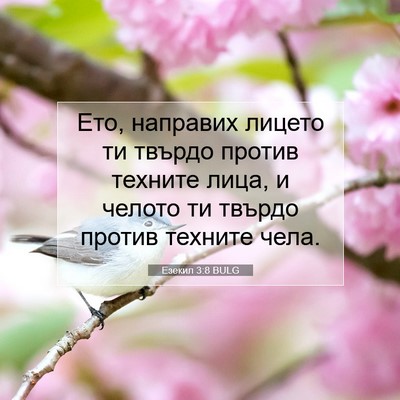 Picture 07 - Езекил 3:8 BULG - Ето, направих лицето ти - Bible Verse Picture