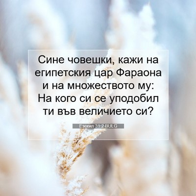 Picture 07 - Езекил 31:2 BULG - Сине човешки, кажи на - Bible Verse Picture