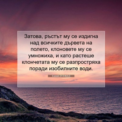 Picture 07 - Езекил 31:5 BULG - Затова, ръстът му се - Bible Verse Picture