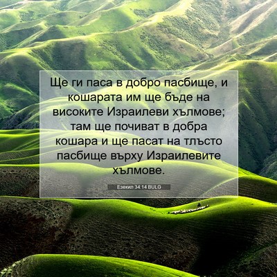 Picture 07 - Езекил 34:14 BULG - Ще ги паса в добро пасбище, - Bible Verse Picture