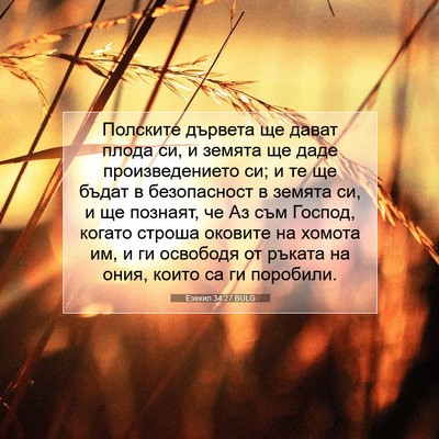 Picture 07 - Езекил 34:27 BULG - Полските дървета ще дават - Bible Verse Picture