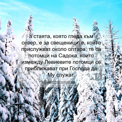 Picture 07 - Езекил 40:46 BULG - а стаята, която гледа към - Bible Verse Picture