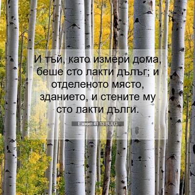 Picture 07 - Езекил 41:13 BULG - И тъй, като измери дома, - Bible Verse Picture