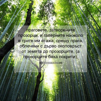Picture 07 - Езекил 41:16 BULG - праговете, затворените - Bible Verse Picture
