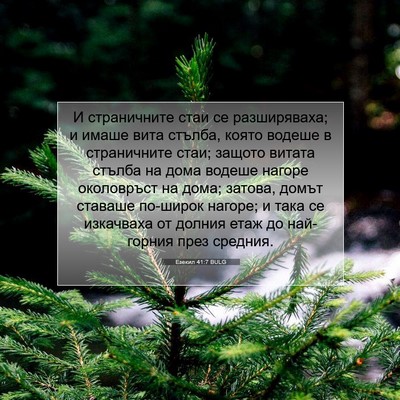 Picture 07 - Езекил 41:7 BULG - И страничните стаи се - Bible Verse Picture