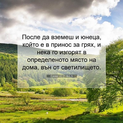Picture 07 - Езекил 43:21 BULG - После да вземеш и юнеца, - Bible Verse Picture