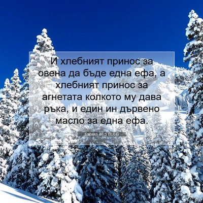Picture 07 - Езекил 46:5 BULG - И хлебният принос за овена - Bible Verse Picture
