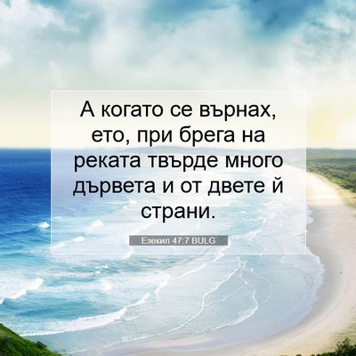 Picture 07 - Езекил 47:7 BULG - А когато се върнах, ето, при - Bible Verse Picture