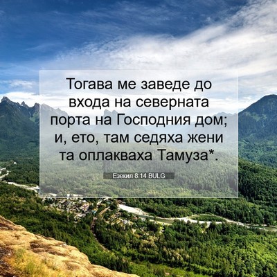 Picture 07 - Езекил 8:14 BULG - Тогава ме заведе до входа - Bible Verse Picture