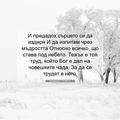 Picture 07 - Еклесиаст 1:13 BULG - И предадох сърцето си да - Bible Verse Picture