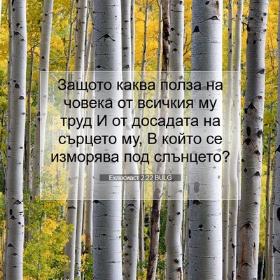 Picture 07 - Еклесиаст 2:22 BULG - Защото каква полза на - Bible Verse Picture