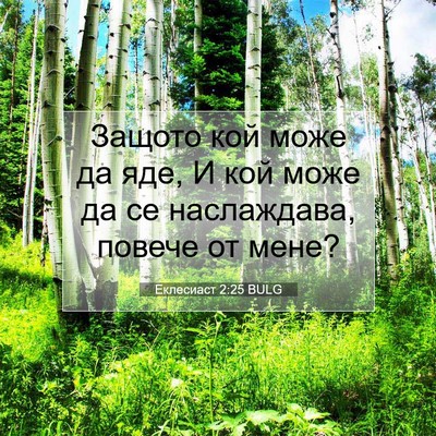Picture 07 - Еклесиаст 2:25 BULG - Защото кой може да яде, И - Bible Verse Picture