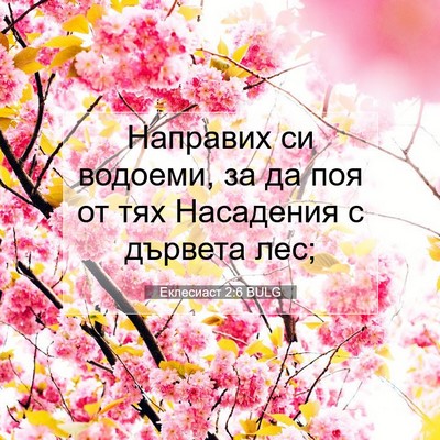 Picture 07 - Еклесиаст 2:6 BULG - Направих си водоеми, за да - Bible Verse Picture
