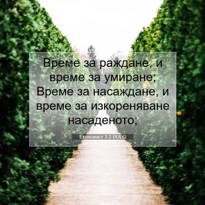Picture 07 - Еклесиаст 3:2 BULG - Време за раждане, и време - Bible Verse Picture