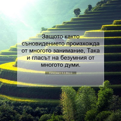 Picture 07 - Еклесиаст 5:3 BULG - Защото както - Bible Verse Picture
