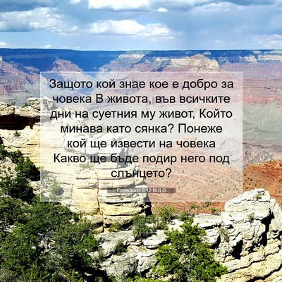 Picture 07 - Еклесиаст 6:12 BULG - Защото кой знае кое е добро - Bible Verse Picture