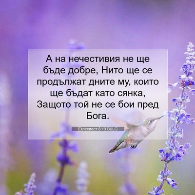 Picture 07 - Еклесиаст 8:13 BULG - А на нечестивия не ще бъде - Bible Verse Picture