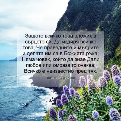 Picture 07 - Еклесиаст 9:1 BULG - Защото всичко това вложих - Bible Verse Picture