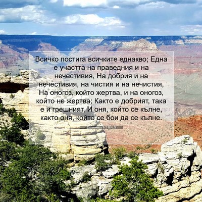 Picture 07 - Еклесиаст 9:2 BULG - Всичко постига всичките - Bible Verse Picture